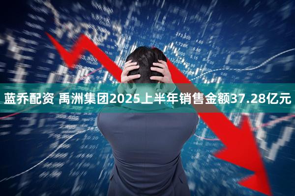蓝乔配资 禹洲集团2025上半年销售金额37.28亿元