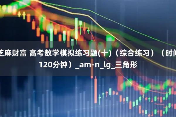 芝麻财富 高考数学模拟练习题(十)（综合练习）（时间120分钟）_am-n_lg_三角形