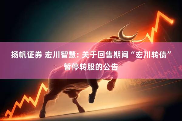 扬帆证券 宏川智慧: 关于回售期间“宏川转债”暂停转股的公告
